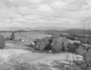 Vista Of Rolling Hills