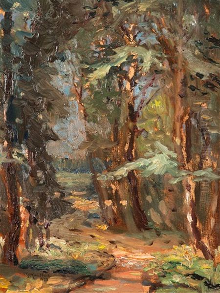 Darswald - view 1