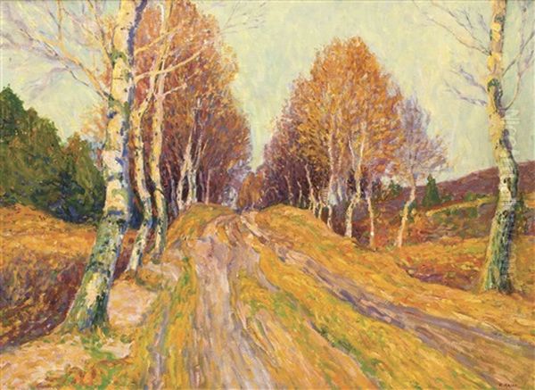 Birkenweg - view 1