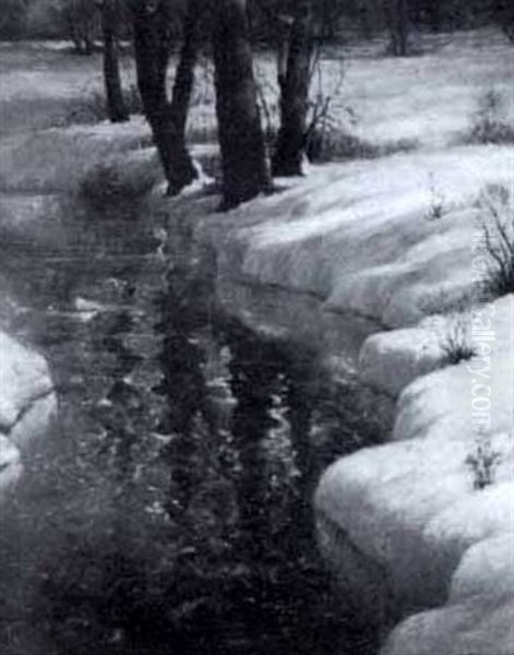 Winter Sunlight - view 1