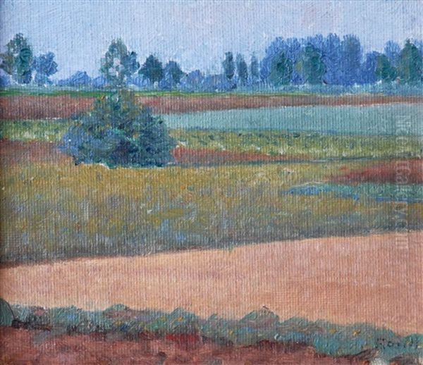 Stromy Na Horizontu - view 1