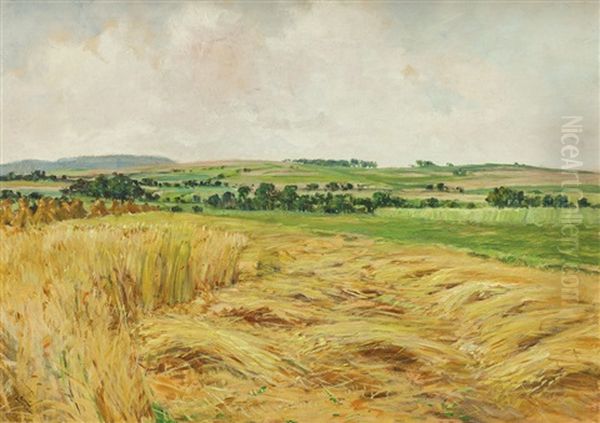 Zne U Turnova - view 1