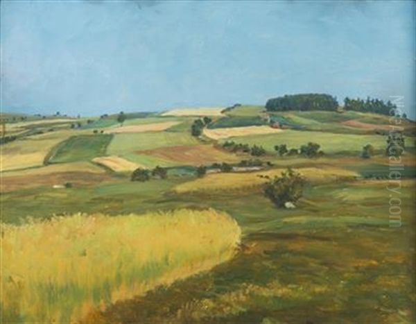 Mountain Fields - view 1
