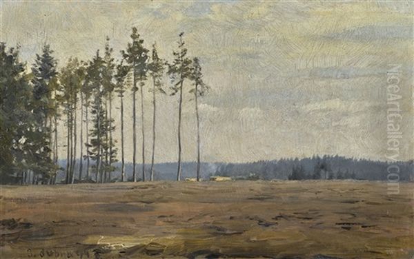 Edge Of A Forest - view 1