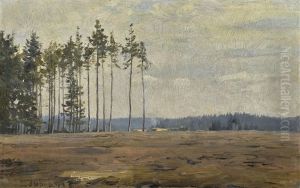 Edge Of A Forest