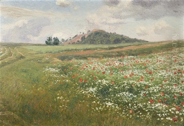Fields With Wild Poppies - view 1