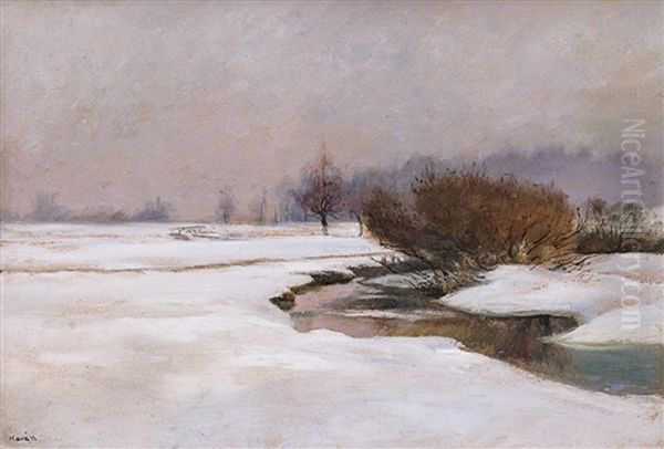 Potok V Zime - view 1