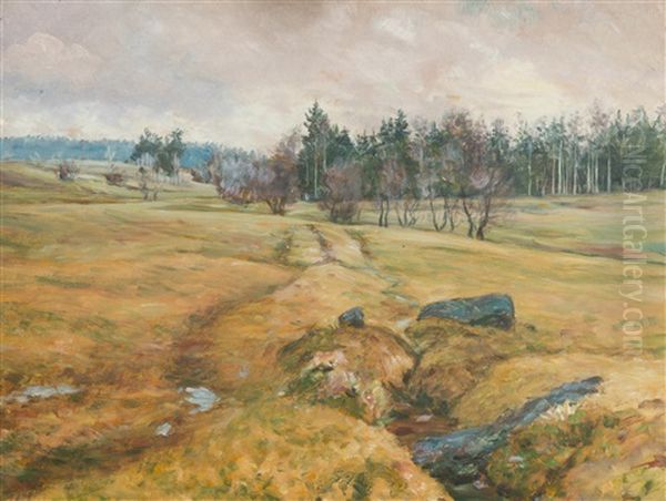 A Wet Winter - view 1