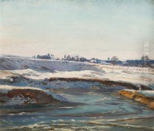 The Frozen Chrudimka River