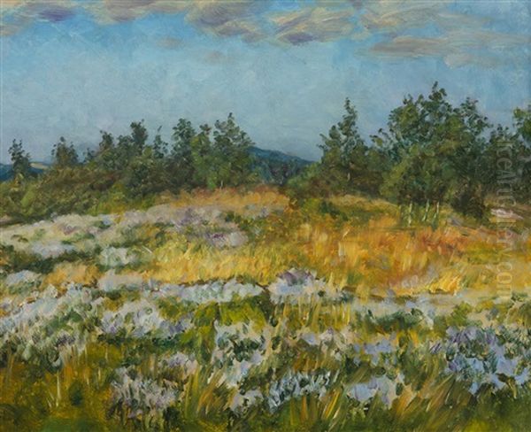 A Little Bit Of Heather - view 1