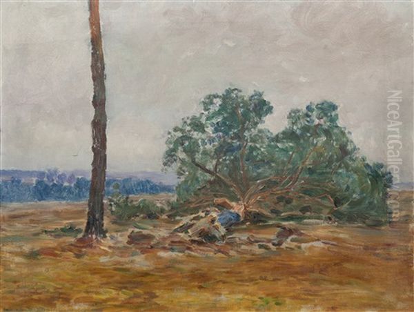 Po Vichrici - view 1