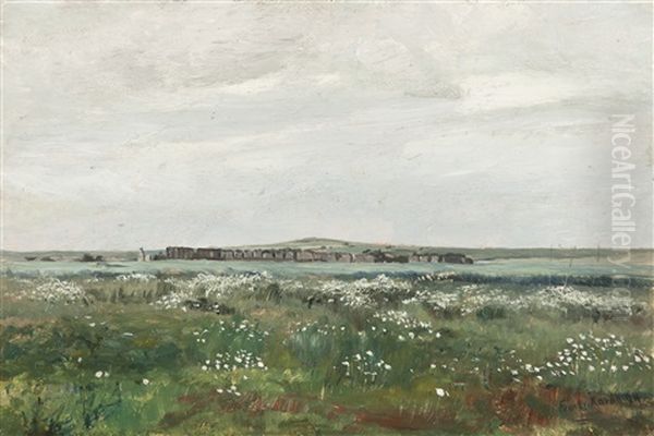 Rozkvetle Pole - view 1