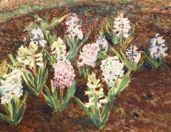Hyacinths - view 1