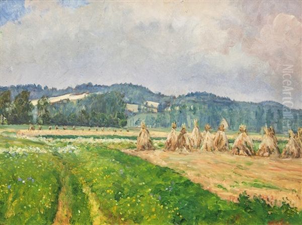 Mlhava Nalada U Rokytnice - view 1