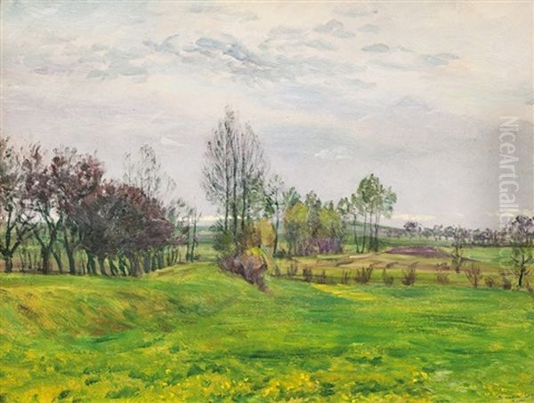 Jarni Nalada U Zeleznice - view 1