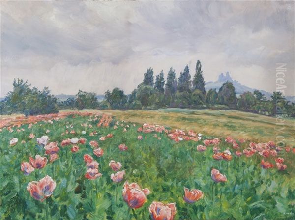 Spring Under Trosky - view 1