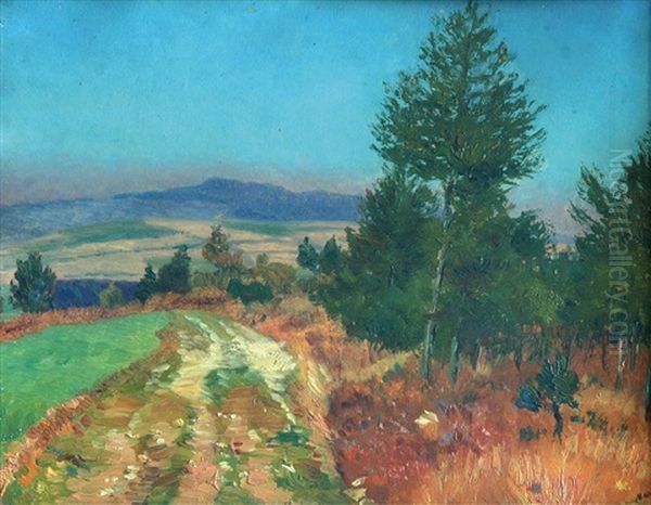 Way In The Landscape - view 1