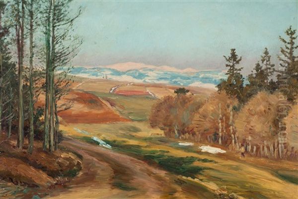 Early Spring In The Krkonose Foothills - view 1