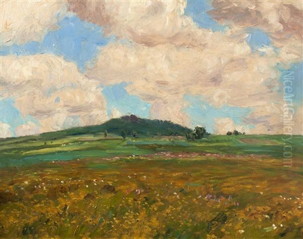 Summer Landscape - view 1