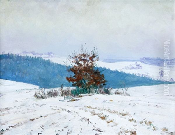 Od Svobodnych Hamru - view 1