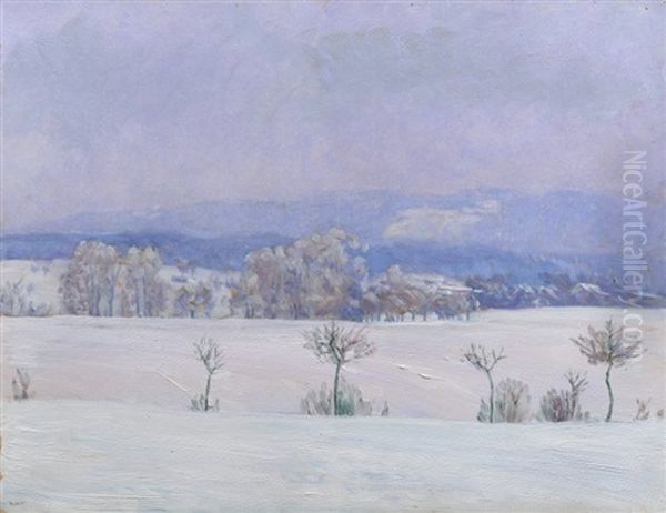 Winter Landscape - view 1
