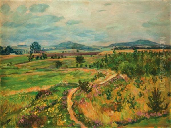 Letni Krajina - view 1
