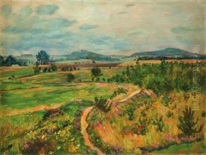 Letni Krajina by Frantisek Kavan