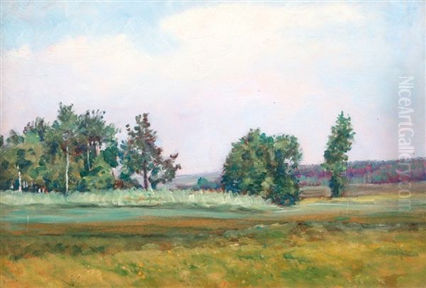 Na Kraji Lesa - view 1