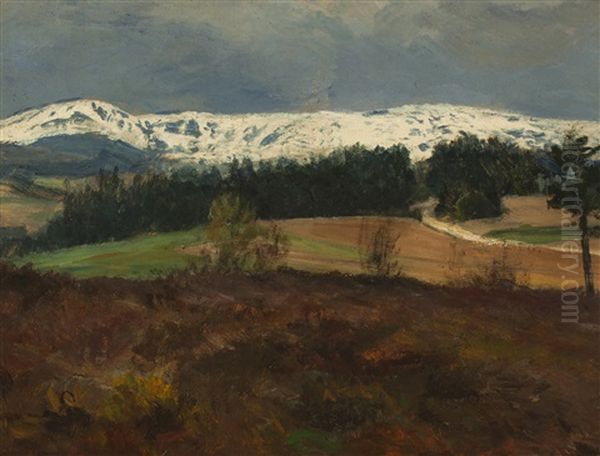 Blick Auf Das Riesengebirge - view 1
