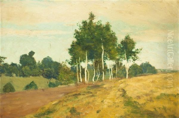 Birken In Der Landschaft - view 1