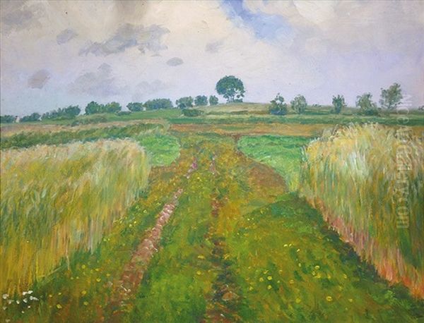 Uvoz - view 1