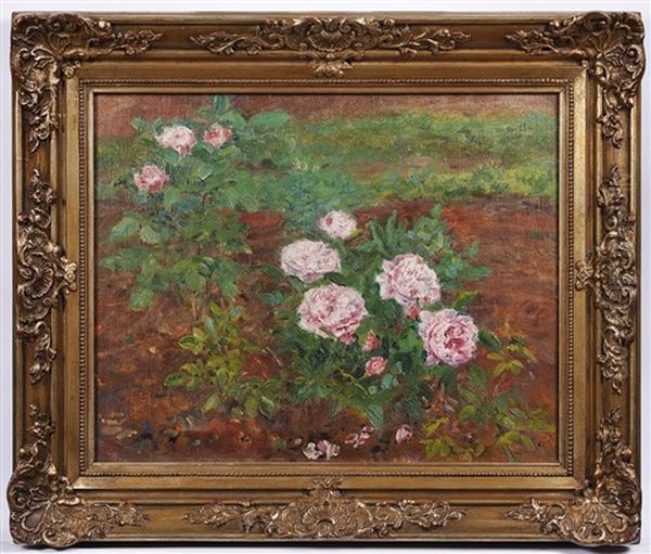 Roses - view 1