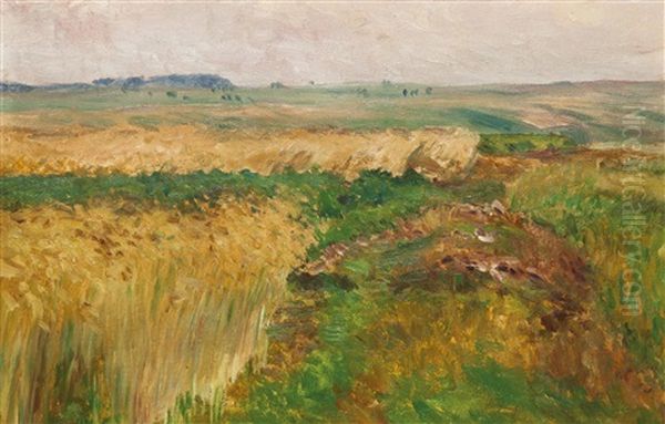 Weg Durch Die Felder - view 1