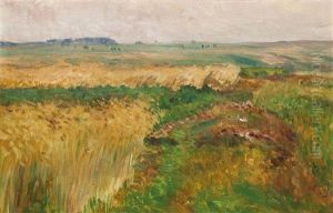 Weg Durch Die Felder Weg Durch Die Felder
