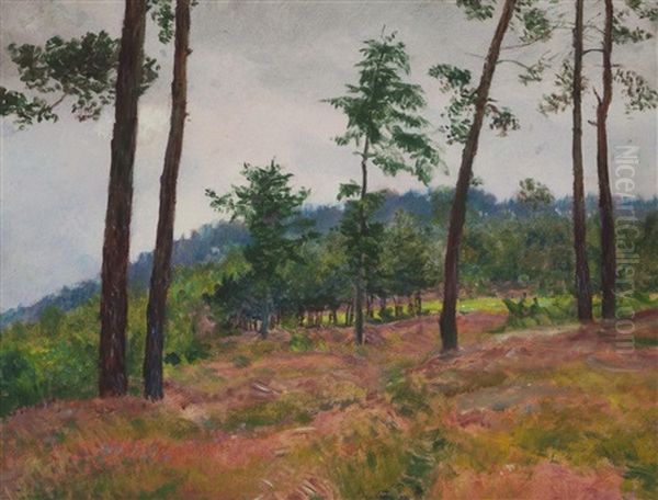 Am Waldrand - view 1