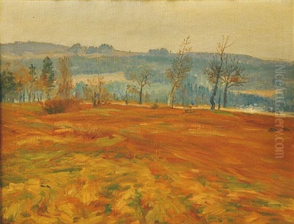 Raska's Meadow In Spring - view 1