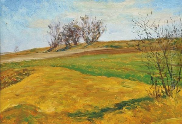 Boundaries Between Fields - view 1