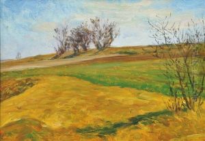 Boundaries Between Fields