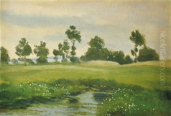 Luzni Potok - view 1