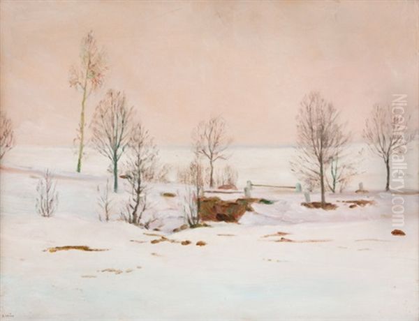 Zimni Krajina S Mustkem - view 1