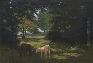 Flecked With Sunlight by Joseph Malachy Kavanagh