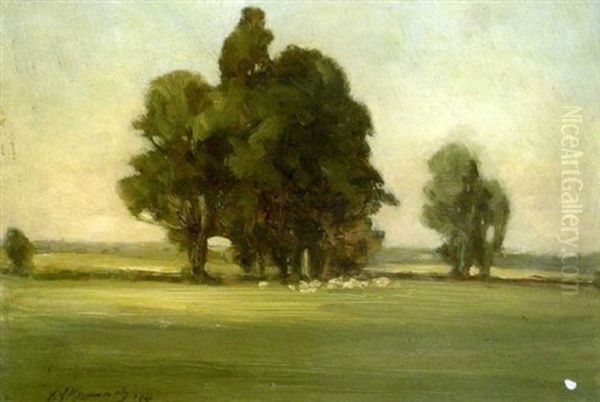Sheep Grazing Under Trees In Landscape - view 1