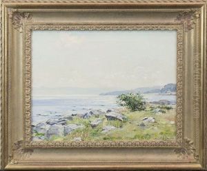 A Summer's Day