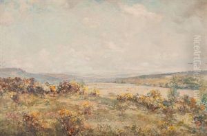 Summer Glen