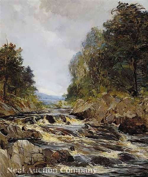 Rapids In A Scottish Stream - view 1