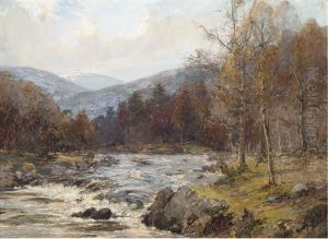 Spring On The River Spey, Aberdeenshire