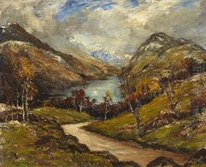 The Arrochar Alps From Finnart Brae