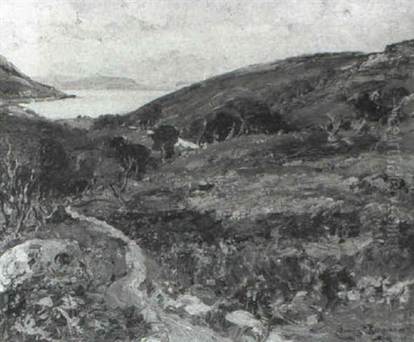 Along The Kyles Of Lochalsh - view 1