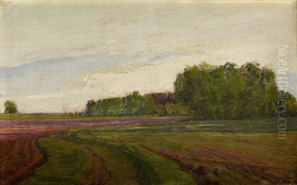 Pejzaz Wiosenny Z Olszewa - view 1