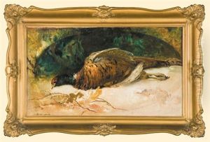 Pheasant Pheasant